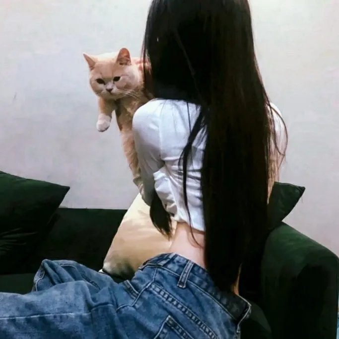 迈克斯的壮举